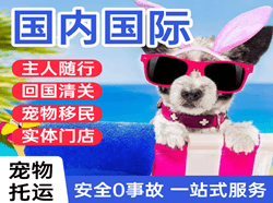 浦东机场快递国际宠物托运 【国